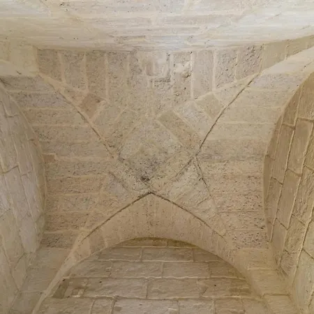 Tarantola Lecce